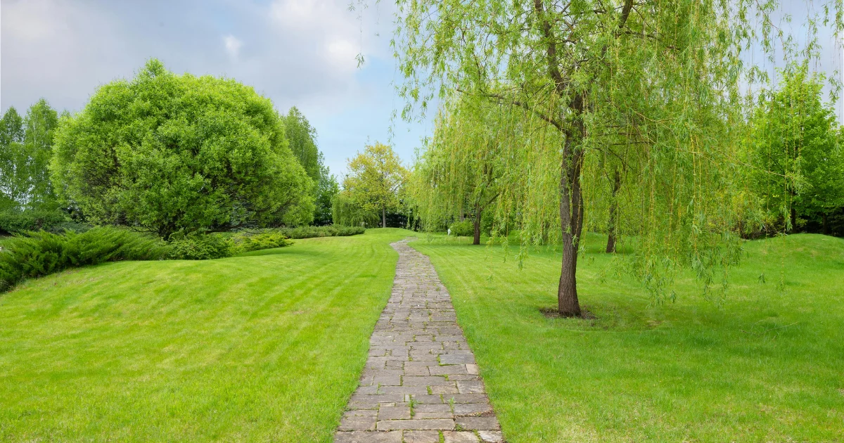 A Replica of Oppression The Uneven Cobblestone Path